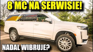 CADILLAC ODEBRANY PO 8MC na Serwisach! Czy nadal WIBRUJE?