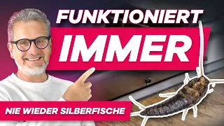 Noch heute Papierfische & Silberfische bekämpfen - Alle Techniken einfach erklärt!