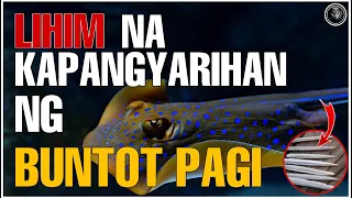 ANG SEKRETONG KAPANGYARIHAN NG BUNTOT PAGI | AGIMAT AT MGA ANTING-ANTING SA PILIPINAS | Bhes Tv