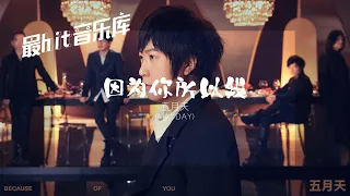 因为你 所以我 Because of You - 五月天 Mayday (动态歌词）