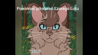 Historia Migoczącej Burzy (specjał na 200 subów )