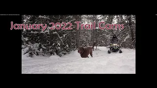 My Bigfoot Story Ep. 231 - Trail Cameras On The Creepy Corner