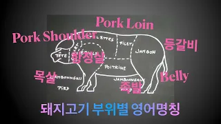 돼지고기 부위별 영어명칭ㅣ부위설명ㅣPork CutㅣPork Steak Cutㅣ호주정육사