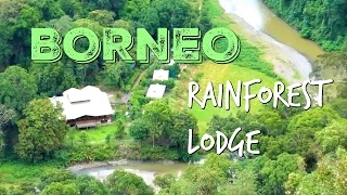 S2 E9: They have a SURPRISE for us! Borneo Rainforest Lodge, Malaysia Travel Guide
