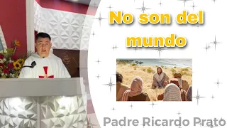 No son del mundo- Padre Ricardo Prato
