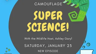 Super Science: Camouflage