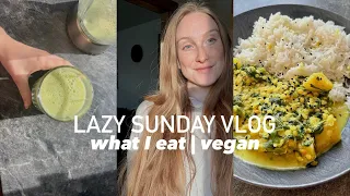 Sonntags-Vlog | What I eat | vegan & einfach