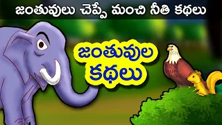 జంతువులు చెప్పే మంచి మంచి నీతి కథలు చూడండి | Telugu Kathalu | Telugu Animal Stories