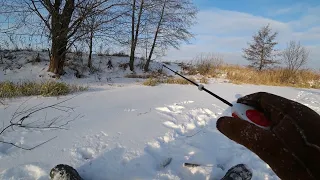 НА ПЕРВОЙ же ЛУНКЕ ПОШЛА ОДНА за ОДНОЙ! ЗИМНЯЯ РЫБАЛКА на БЕЗМОТЫЛКУ.