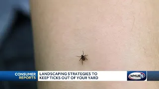 Consumer Reports provides tips on keeping your property safe from ticks