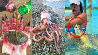 Catching Seafood 🐙🦀 Deep Sea Octopus (Catch Fish, Catch Shark, Sea Creatures) TikTok #36