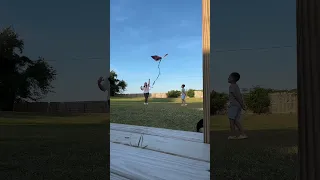 Flying a kite