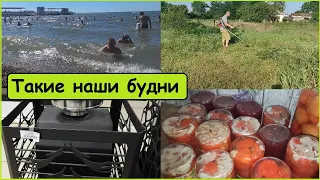 Простая жизнь на юге // Выбираем печь для бани // День заготовок