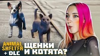 ГДЕ ЩЕНКИ и КОТЯТКИ? DLC в СИМУЛЯТОРЕ ПРИЮТА ► Animal Shelter #9