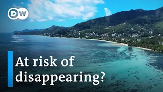 Seychelles - Paradise under threat | DW Documentary
