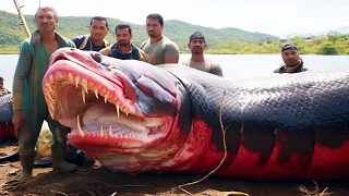 20 Deadliest River Monsters In The World