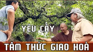 TÂM THỨC GIAO HOÀ, TỪ TÌNH YÊU CÂY NHƯ CẦU NỐI VỚI ĐỜI SỐNG TÂM LINH.