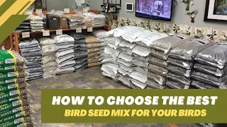 How To Choose The Best Bird Seed Mix For Your Birds?