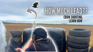 How Much Lead to Shoot a Crow?? | Learn How | Crow Shooting