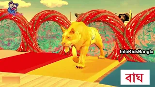 Gorila Vs Tiger Animals Cartoon Choose the Right Wall to Eat Game with Elephant Cow Lion Tiger Horse