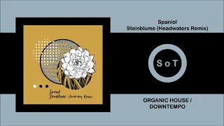 Spaniol - Steinblume (Headwaters Remix) [Organic House & Downtempo] [trndmsk]
