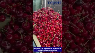 На ринку у Тернополі в розпалі сезон ранньої черешні