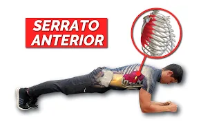 Los Mejores EJERCICIOS para el SERRATO ANTERIOR de CALISTENIA | Basado en Ciencia