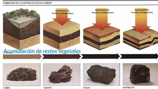 Rocas sedimentarias - 1ESO