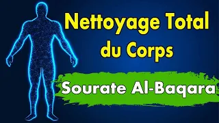 🔴 Roqya Sourate Al-Baqara Nettoyage total djinns amoureux, sorcellerie, Mauvais œil +33 632 55 9101