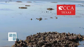CCA Texas: Committed to Restoring and Rebuilding Texas Oyster Reefs