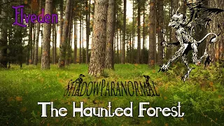 Shadow Paranormal | Elveden | S08E15