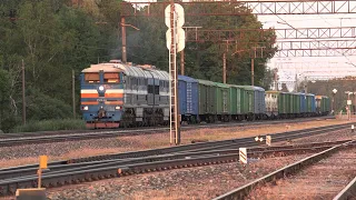 Тепловозы 2ТЭ116-1034 и Ц36-7и-1516 / 2TE116-1034 and C36-7i-1516