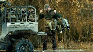 Duck Hunting RANGER: Waterfowl Collection