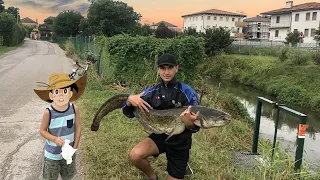 INCREDIBLE attacks from TWO HUGE CATFISH - attacchi assurdi da due grossi siluri (OVER 150 cm)