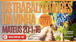 Os Trabalhadores da Vinha (Última Hora) - Mateus 20:1-16