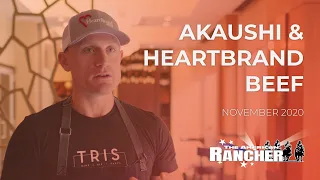 Akaushi - Heartbrand Beef | The American Rancher