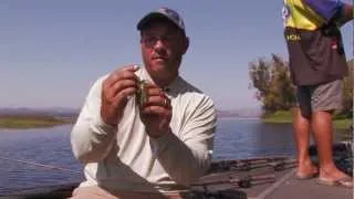 Bailey Baits Punch Jig for Big Bass