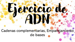 Ejercicio ADN, Cadenas complementarias