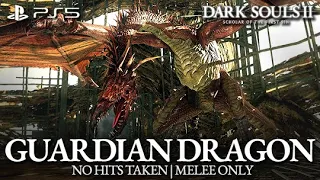 Guardian Dragon Boss Fight (No Hits Taken / Melee Only) [Dark Souls 2 on PS5]