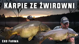 Czerwcowe Karpie Ze Żwirowni cz.2 /Eko Farma Żelechów