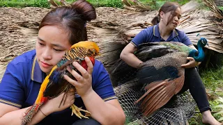 Rescue Bird After Storm: Super Storm Swept Away Everything & Collapsed In The Night