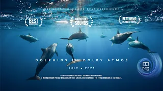 DOLBY ATMOS (2021) DEMO "DOLPHINS IN ATMOS" | Use Headphones for complete Immersion.