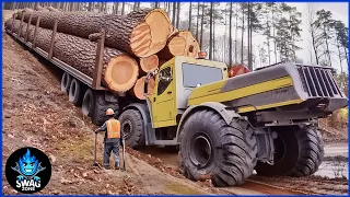 250 EXTREME Dangerous Biggest Wood Logging Truck  Operator Skill Working At Another Level