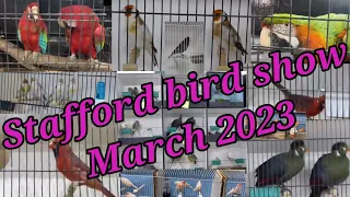 Stafford birds show March 2023