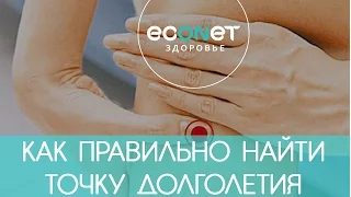 КАК ПРАВИЛЬНО найти точку ДОЛГОЛЕТИЯ - точку от 100 болезней | econet ru