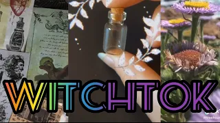 Witchtok #6 (w/a touch of Cottagecore)