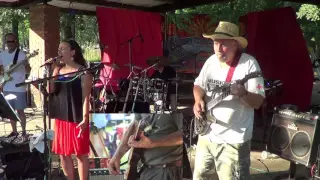 White Rabbit - Somebody To Love - Jefferson Airplane - Neighborhood Picnic Band 2015