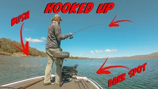 Sight Fishing Mistakes You've Been Making - How To Catch More Bass!