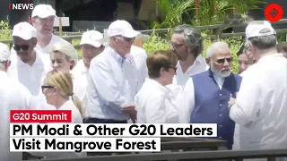 G20 Summit: On Day 2, PM Modi & Other G20 Leaders Visit Mangrove Forest In Indonesia