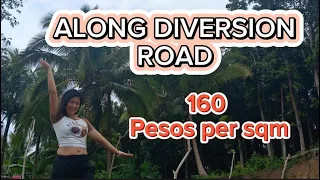 VLOG #102 | 1 Hectare | Along Diversion Road | 160 per square meter | W/ OVERLOOKING | COMPLETE DOC.